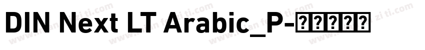 DIN Next LT Arabic_P字体转换